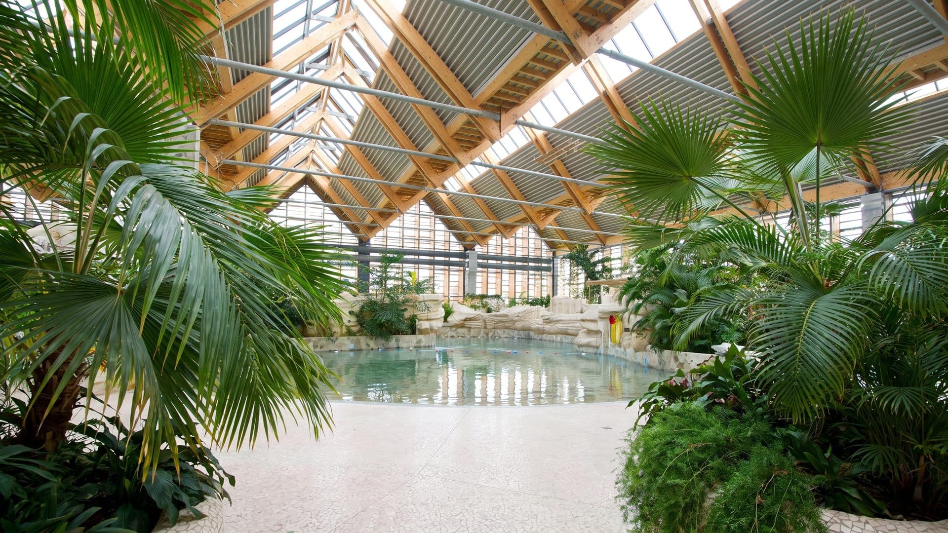 The lagoon pool of Aqua Mundo among its palms under the glazed timber dome