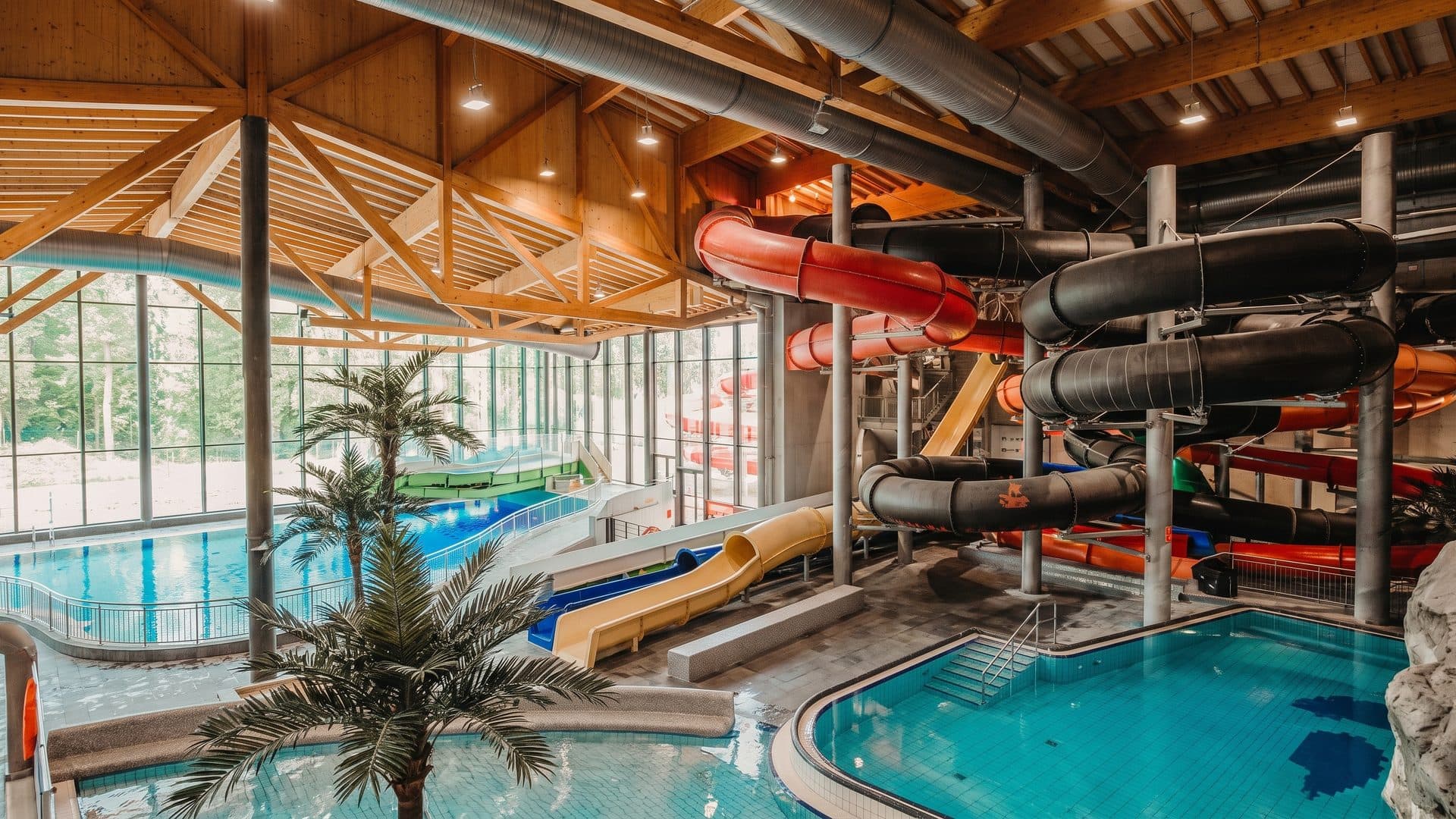 The hall of Aquabasilea with its slide tubes above the pools and palms under a timber roof