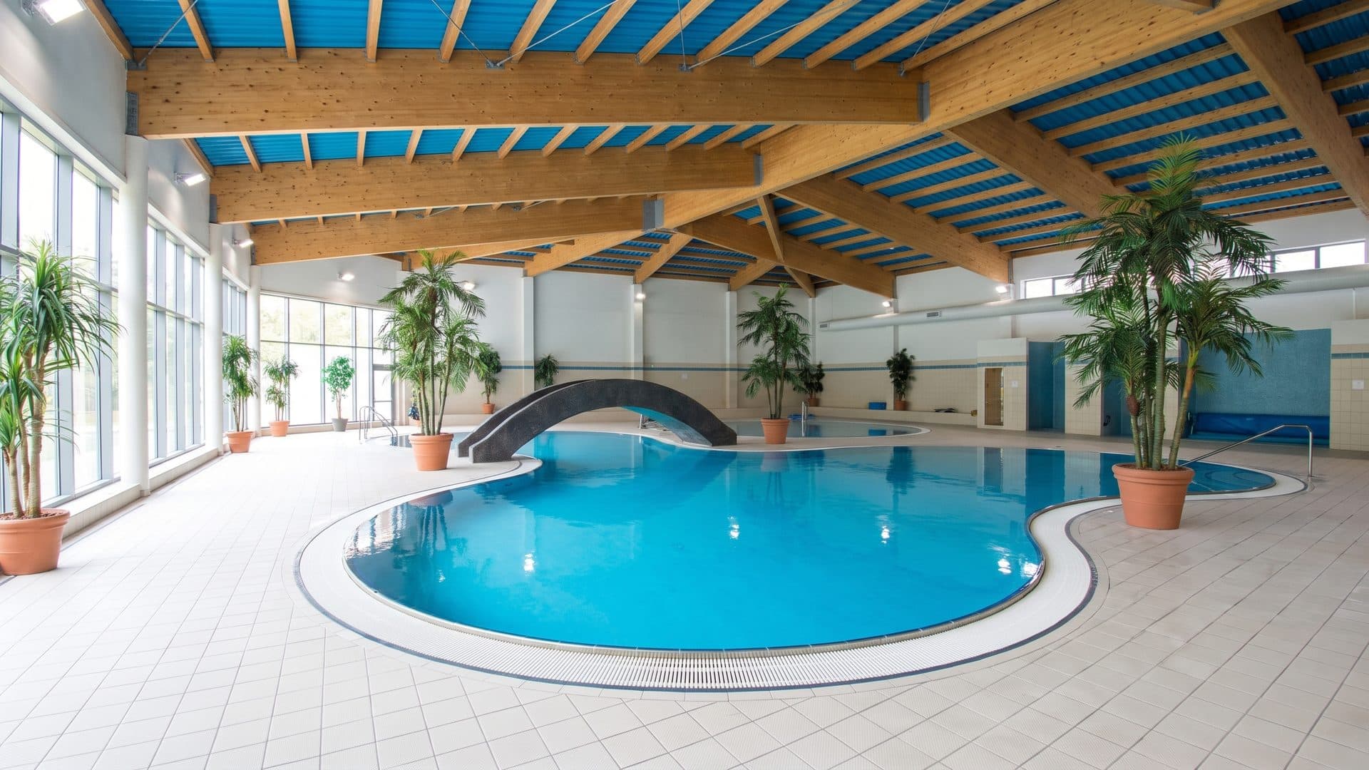 The pool of the Wągrowiec water park among its palms beside the arched bridge