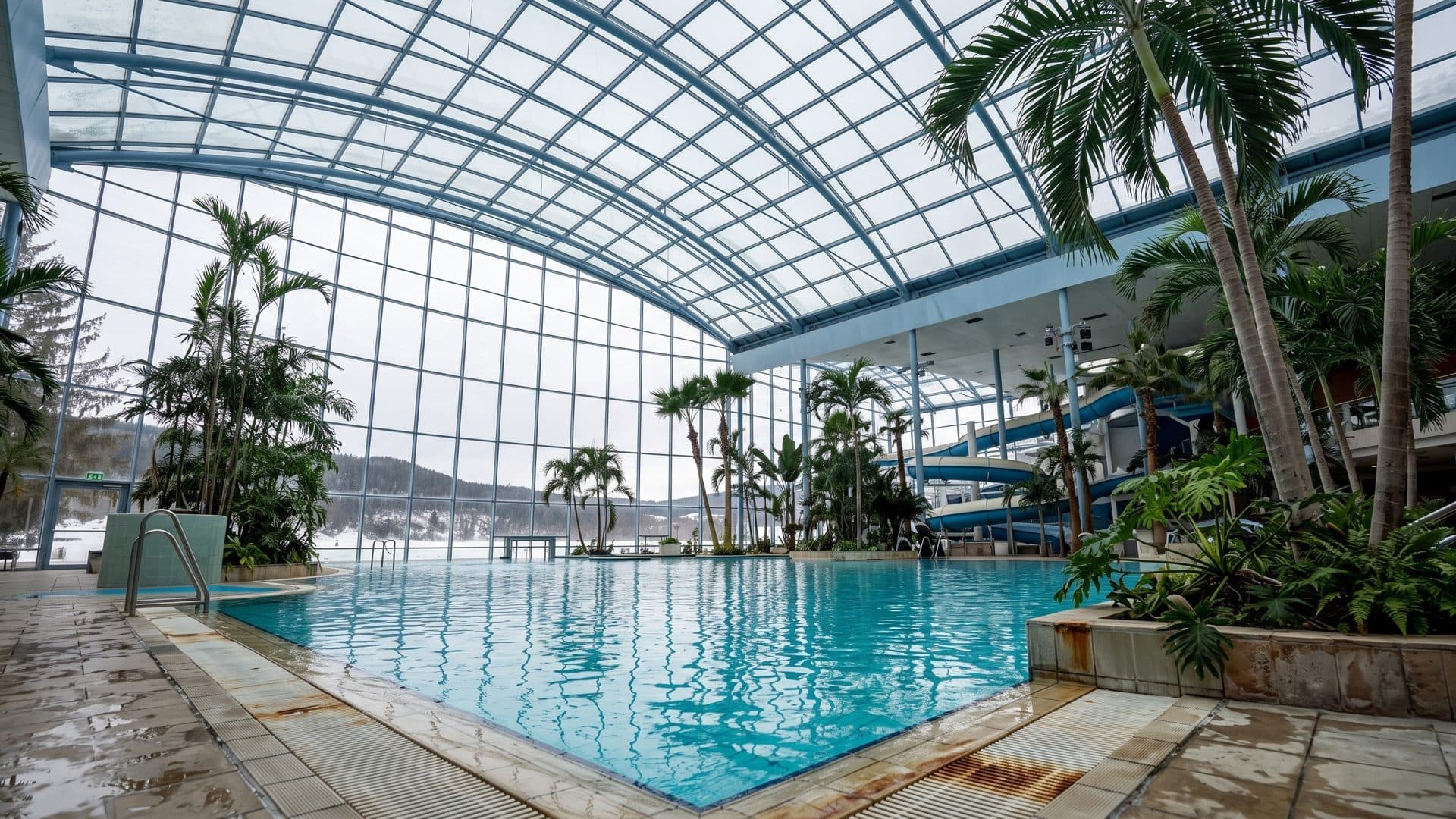 A palm-lined pool under the glass roof of the Badeparadies Schwarzwald, forested hills beyond