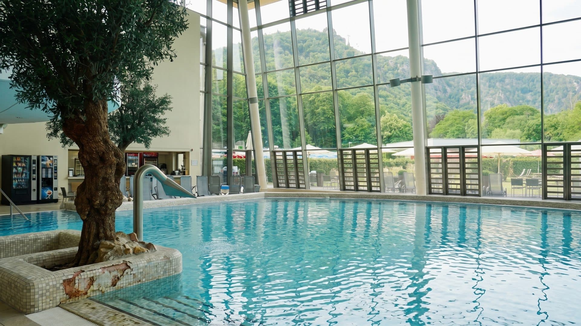Indoor pool beside an olive tree planter, with tall windows looking out to the wooded Harz cliffs