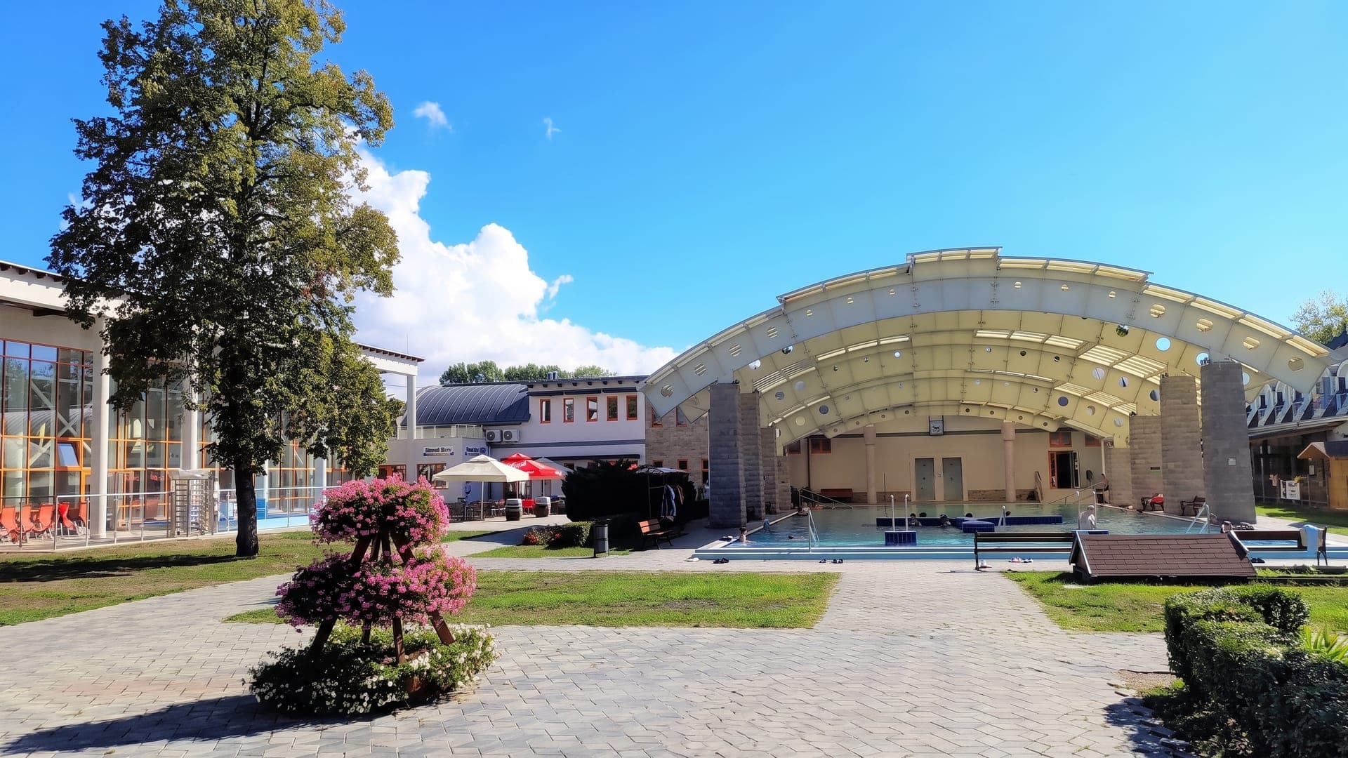 Outdoor pool beside a curved glass-roofed hall, with a flowering shrub and trees