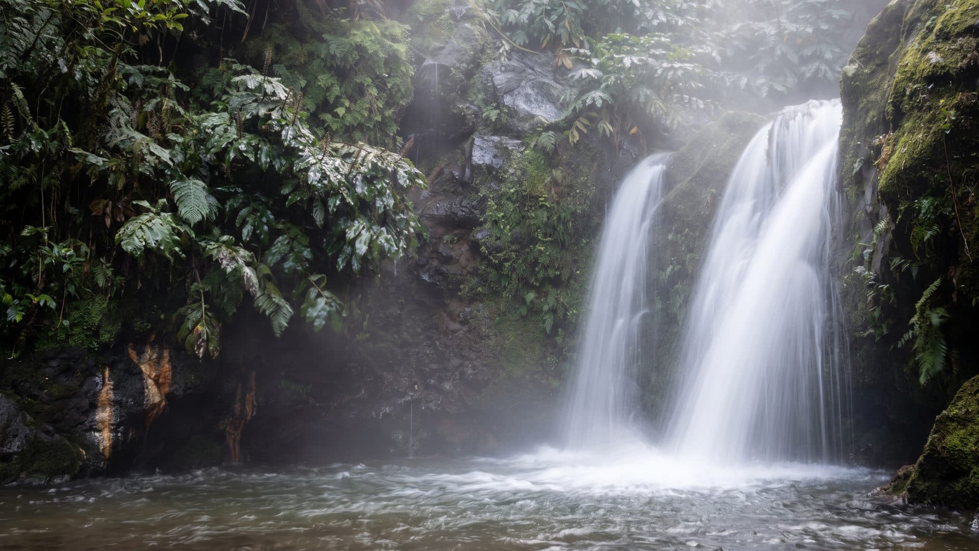 Hot waterfall dropping into a pool in dense tree-fern forest, steam rising off the water.