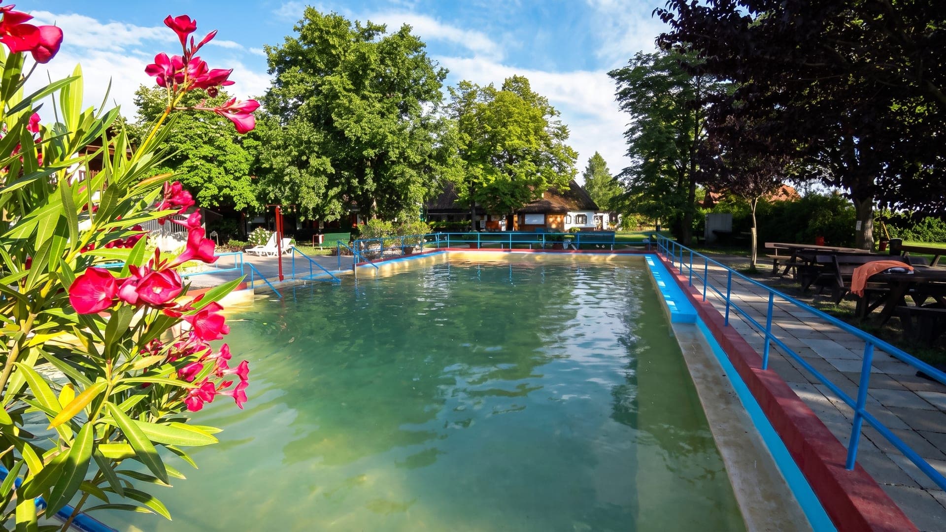 The green thermal pool at Csiszta Furdo in Buzsak, framed by flowering oleander and trees.