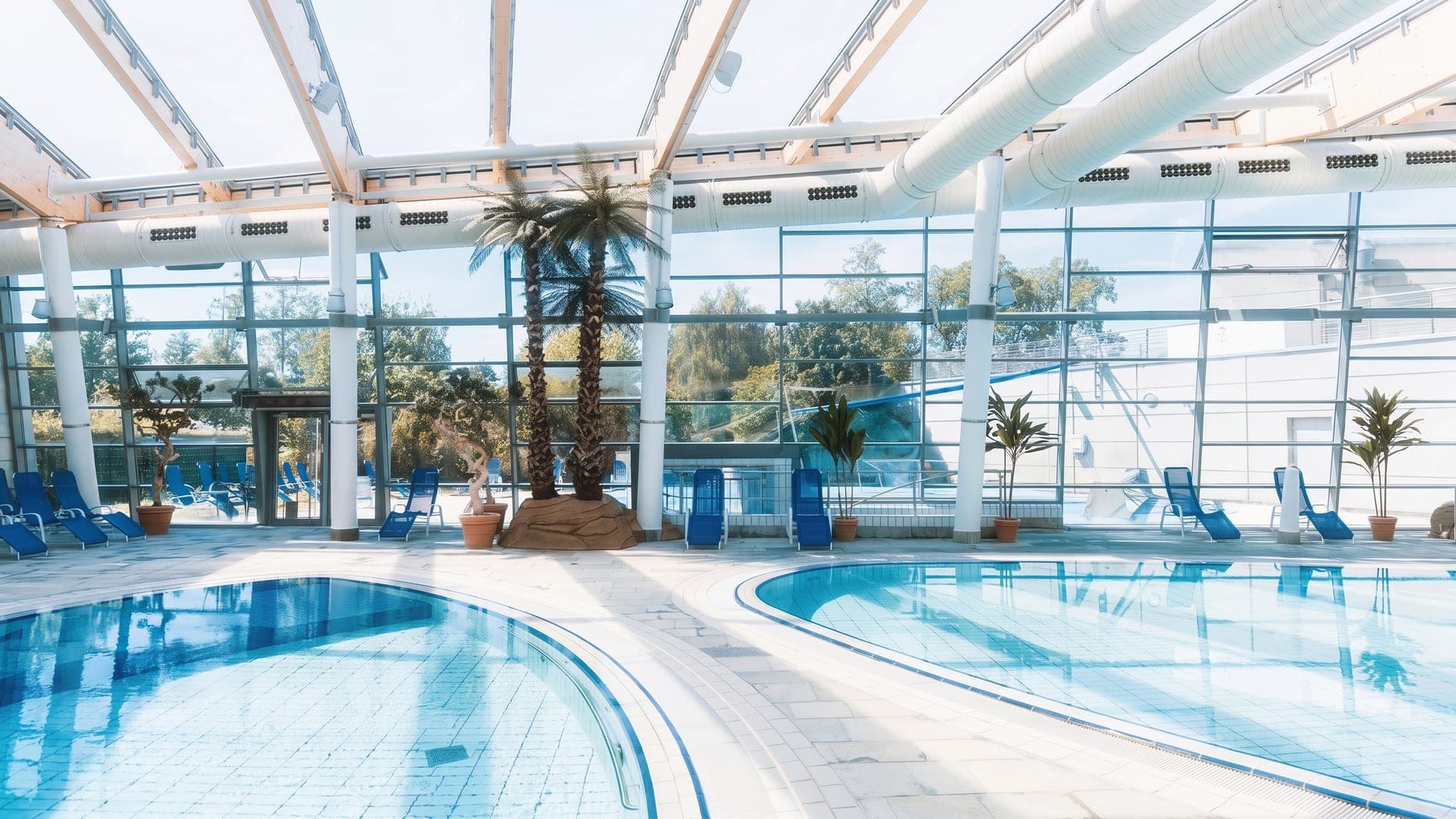 The indoor pool hall at Fackelmann-Therme Hersbruck, with palms beside a full-height glass wall and blue loungers along two curved pools.