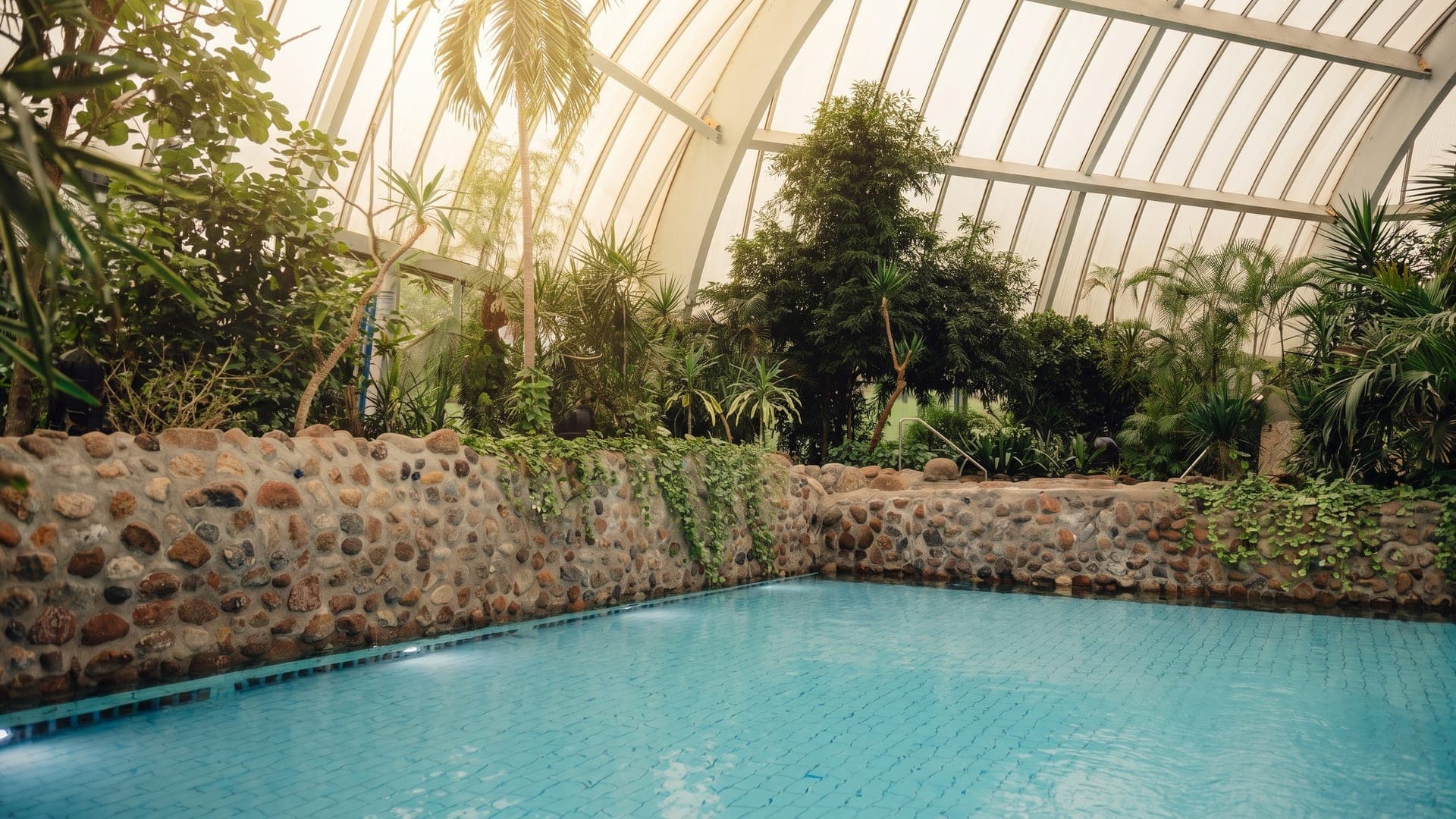 Indoor pool under a curved glass roof, with palms and a stone wall