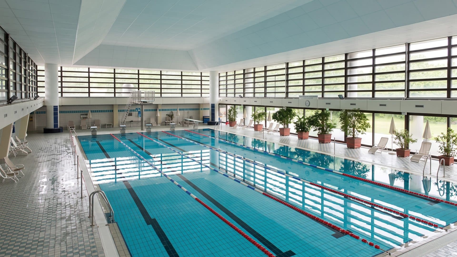 The indoor lane pool of the Sehusa Wasserwelt in Seesen under a white ceiling with high strip windows and potted plants along the glass