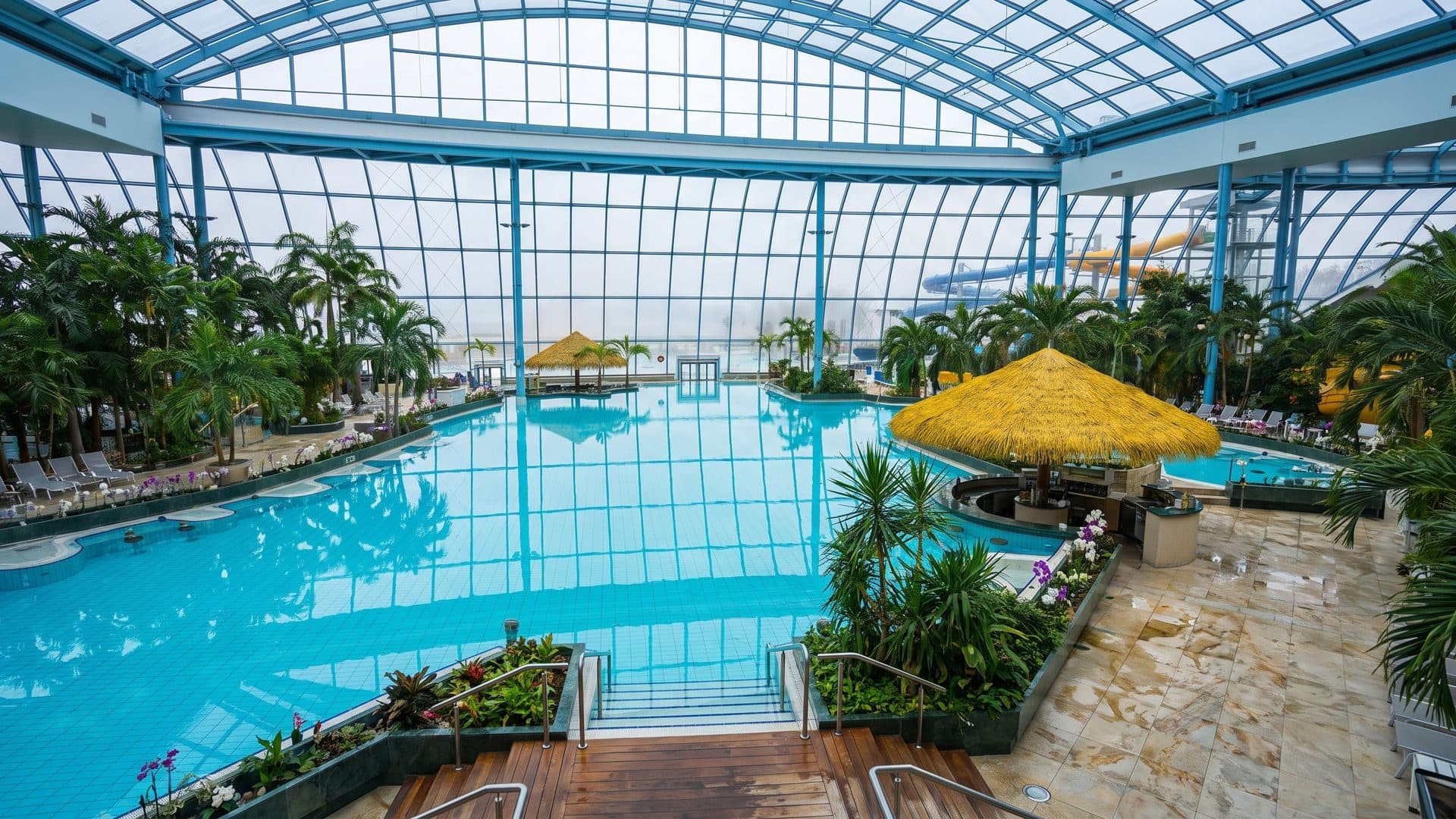 Tropical indoor pool hall under a huge glass roof, with palms and a thatched bar island