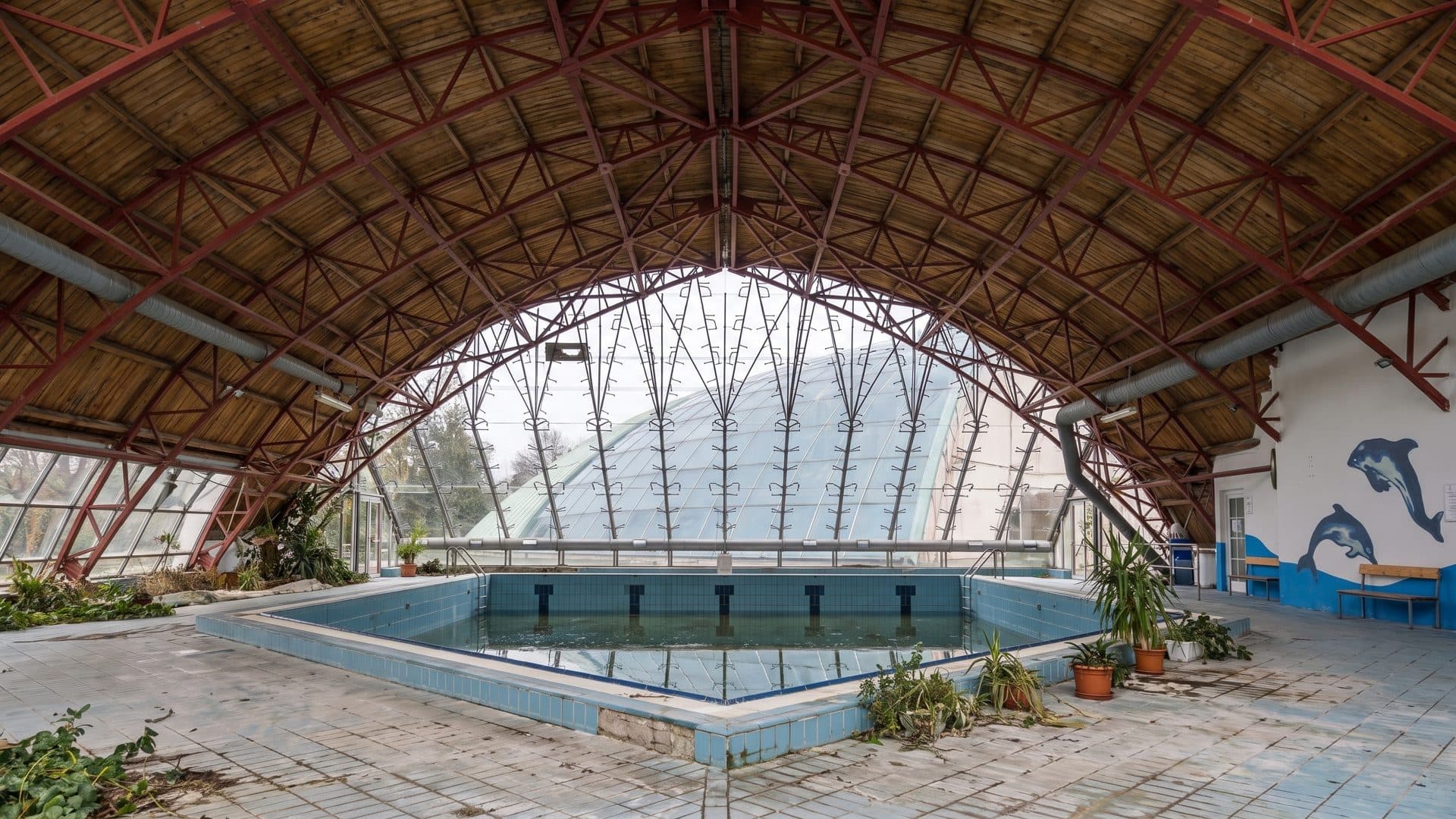 The indoor pool at the Tamasi thermal bath under its timber lattice dome