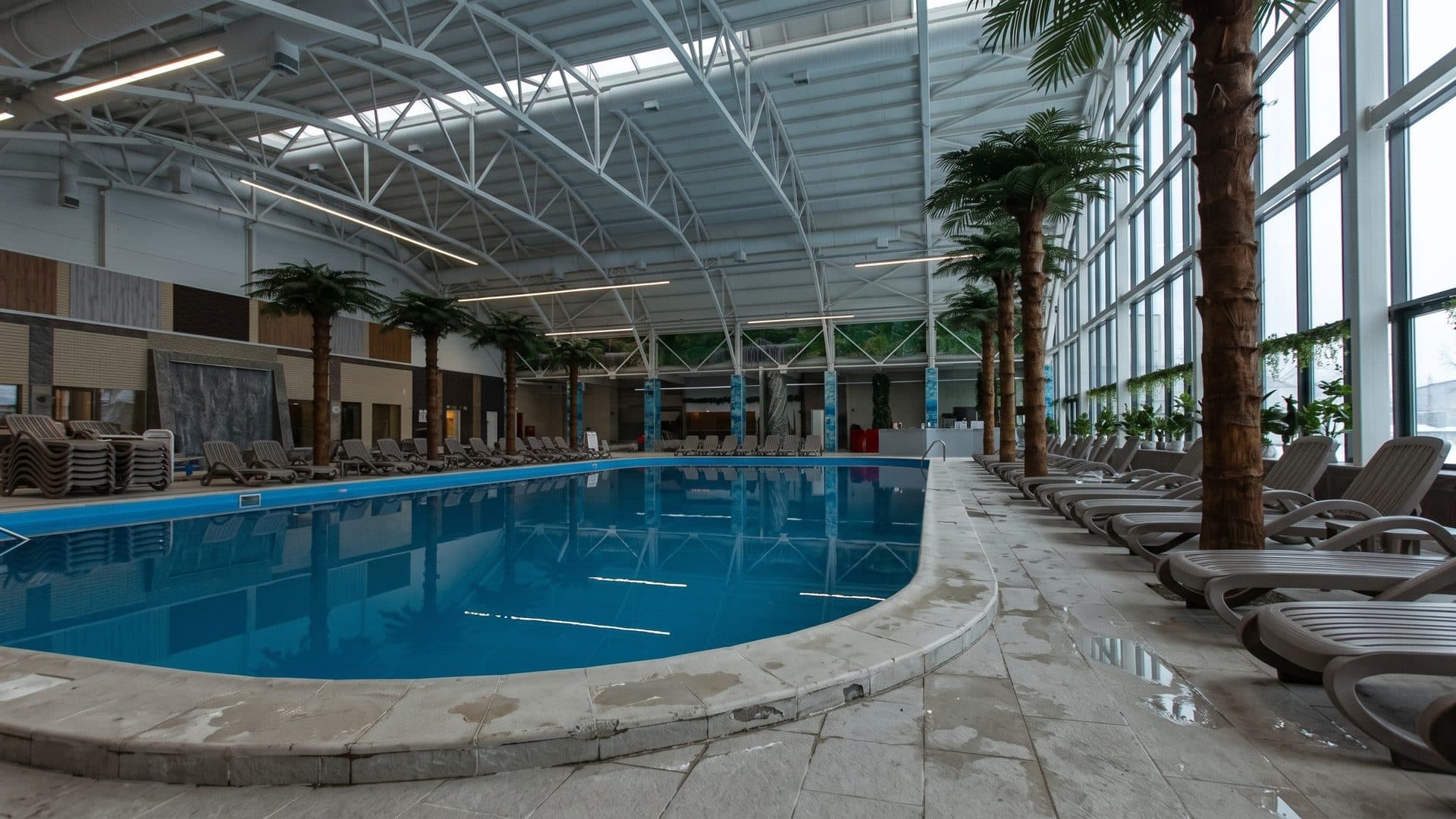 The steel-trussed glass hall of Termy Nautiko: a long indoor pool lined with palm trees and rows of loungers