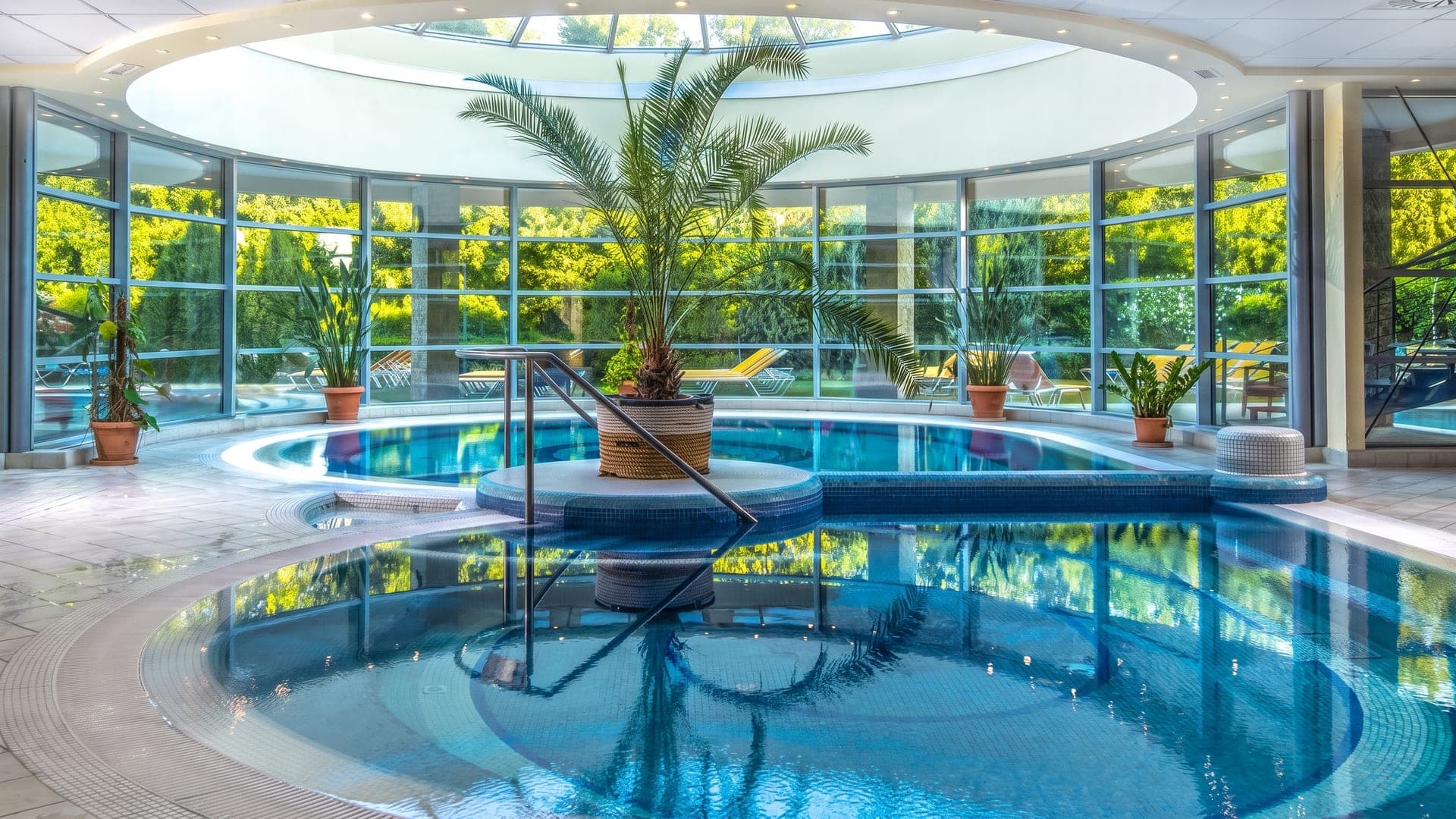 The round glazed pavilion at the Thermal Hotel Visegrad, its pools around a tall palm with the Danube Bend hills beyond the windows.