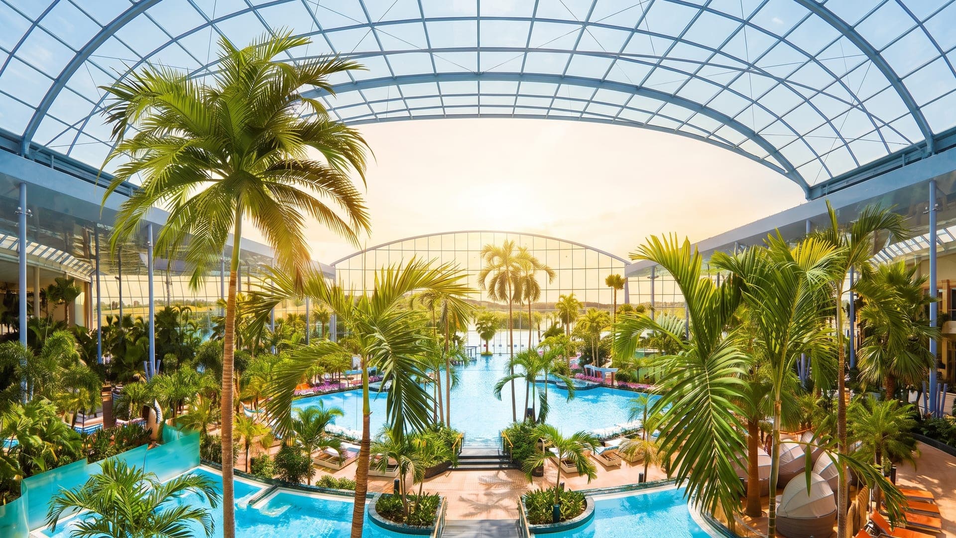 The palm hall of Therme Euskirchen, its pools under a barrel-vaulted glass roof among tall palms.