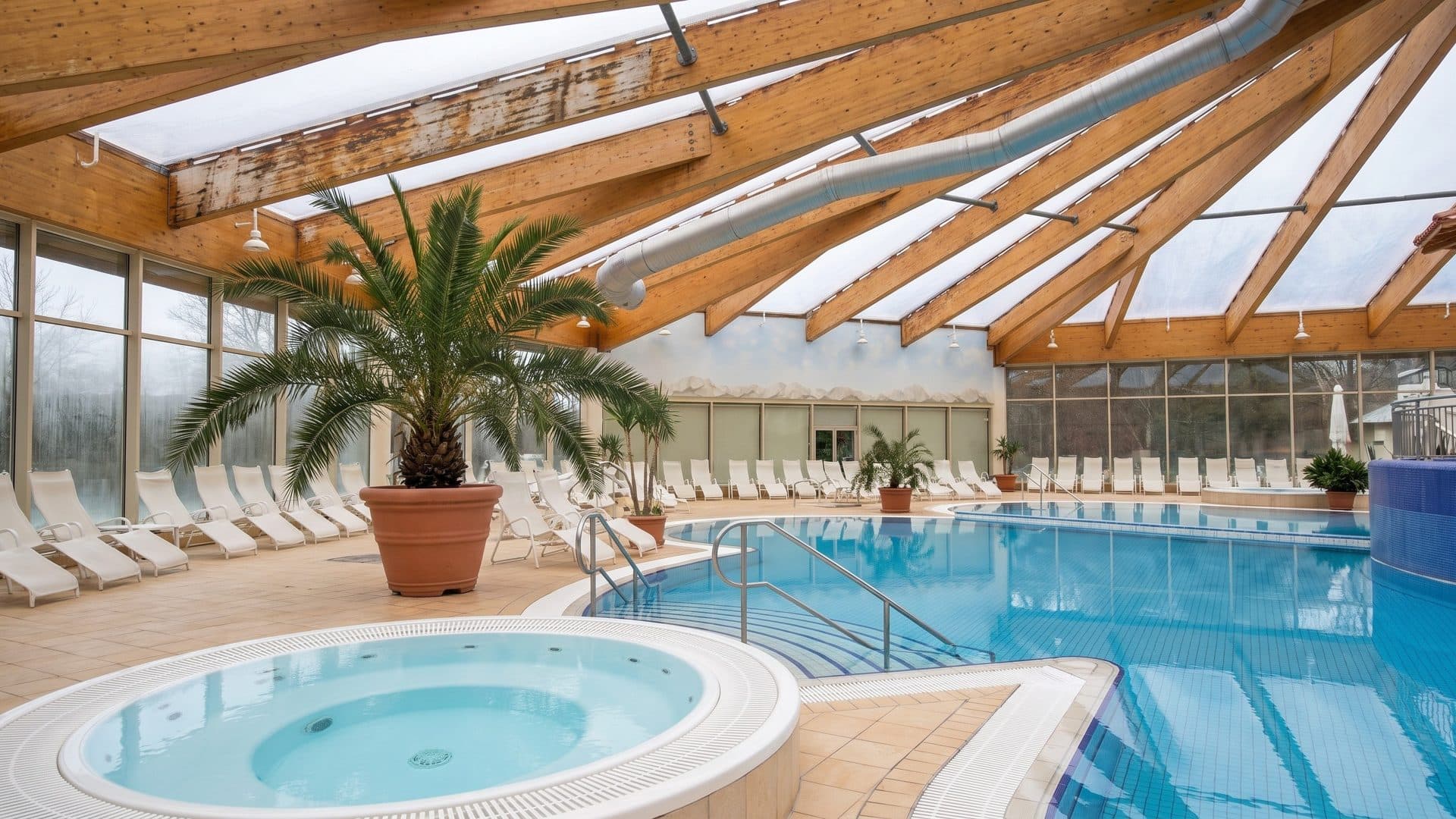 Round whirlpool and thermal pool under a timber-framed glass roof, with a potted palm