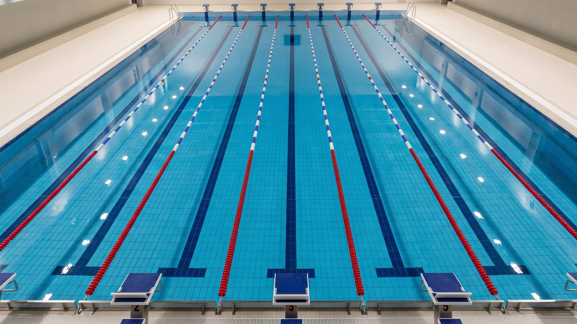 The lane pool of the Wildorado seen down its length from the gallery