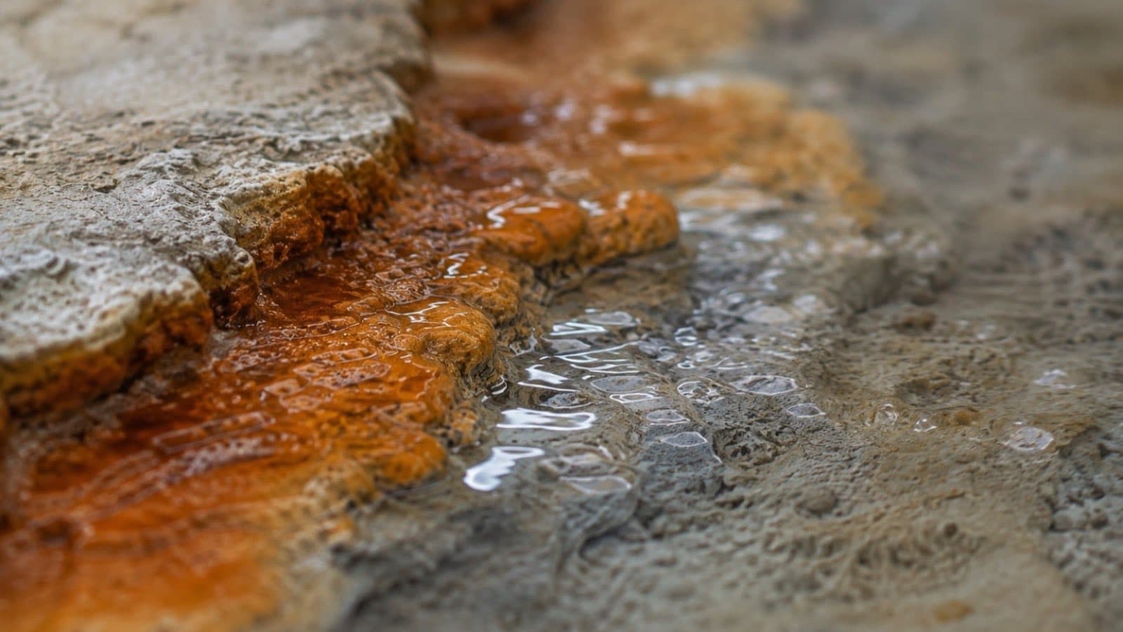 Ochre-orange crust on pale stone where the thermal water runs, the water itself clear above it