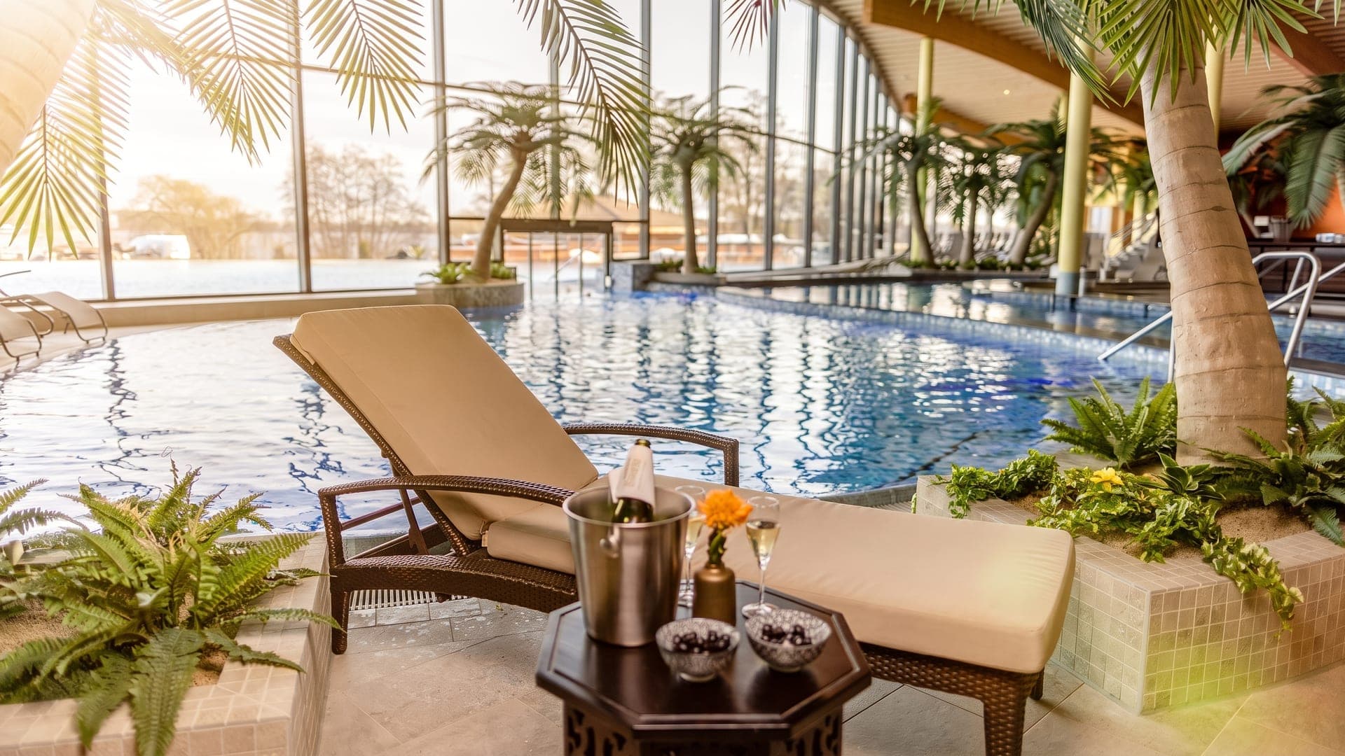 Lounger and a cooler beside the palm-lined indoor pool