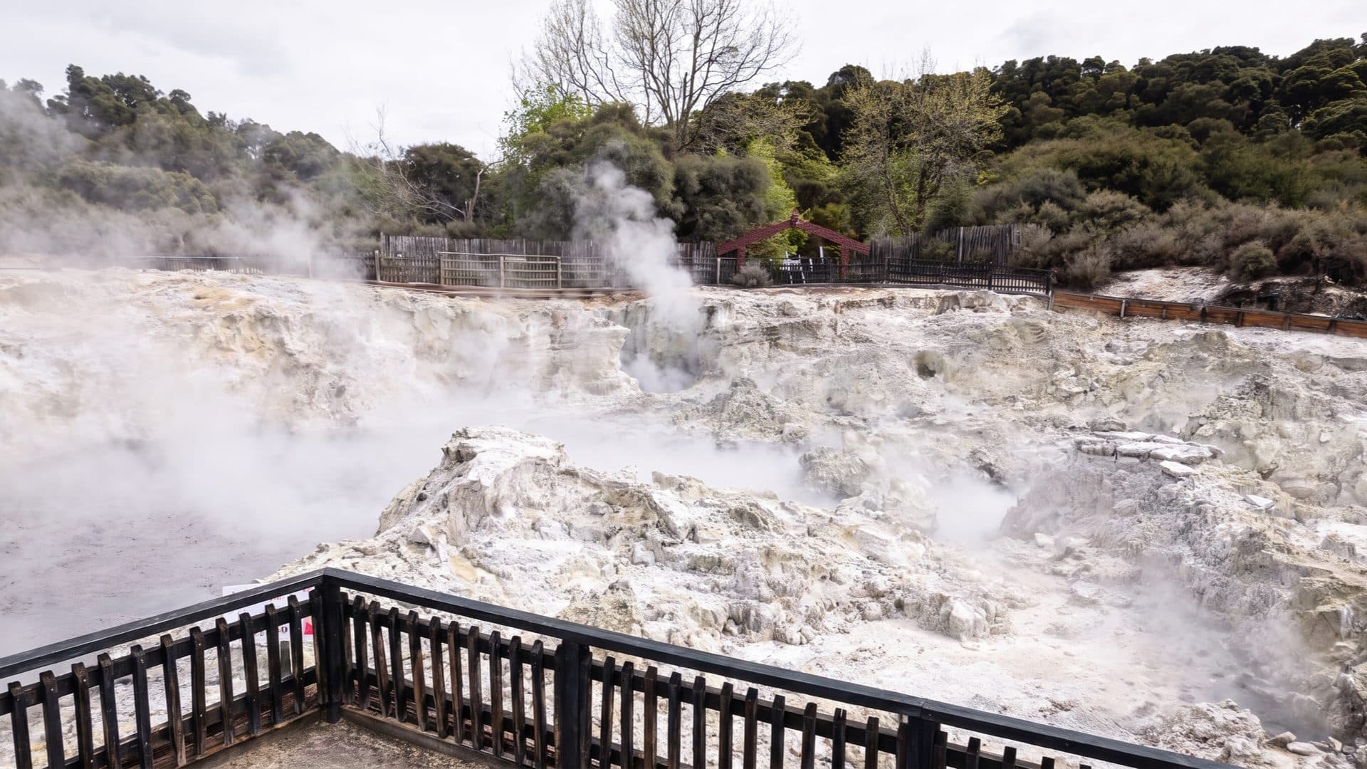Steam rising from bubbling sulphur terraces at a geothermal reserve, a viewing platform in front and a carved Maori gateway among native bush behind.