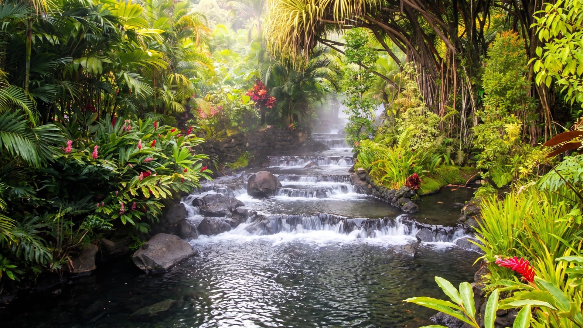Stepped thermal cascades running through tropical jungle planting, with red ginger flowers and palms along the banks.