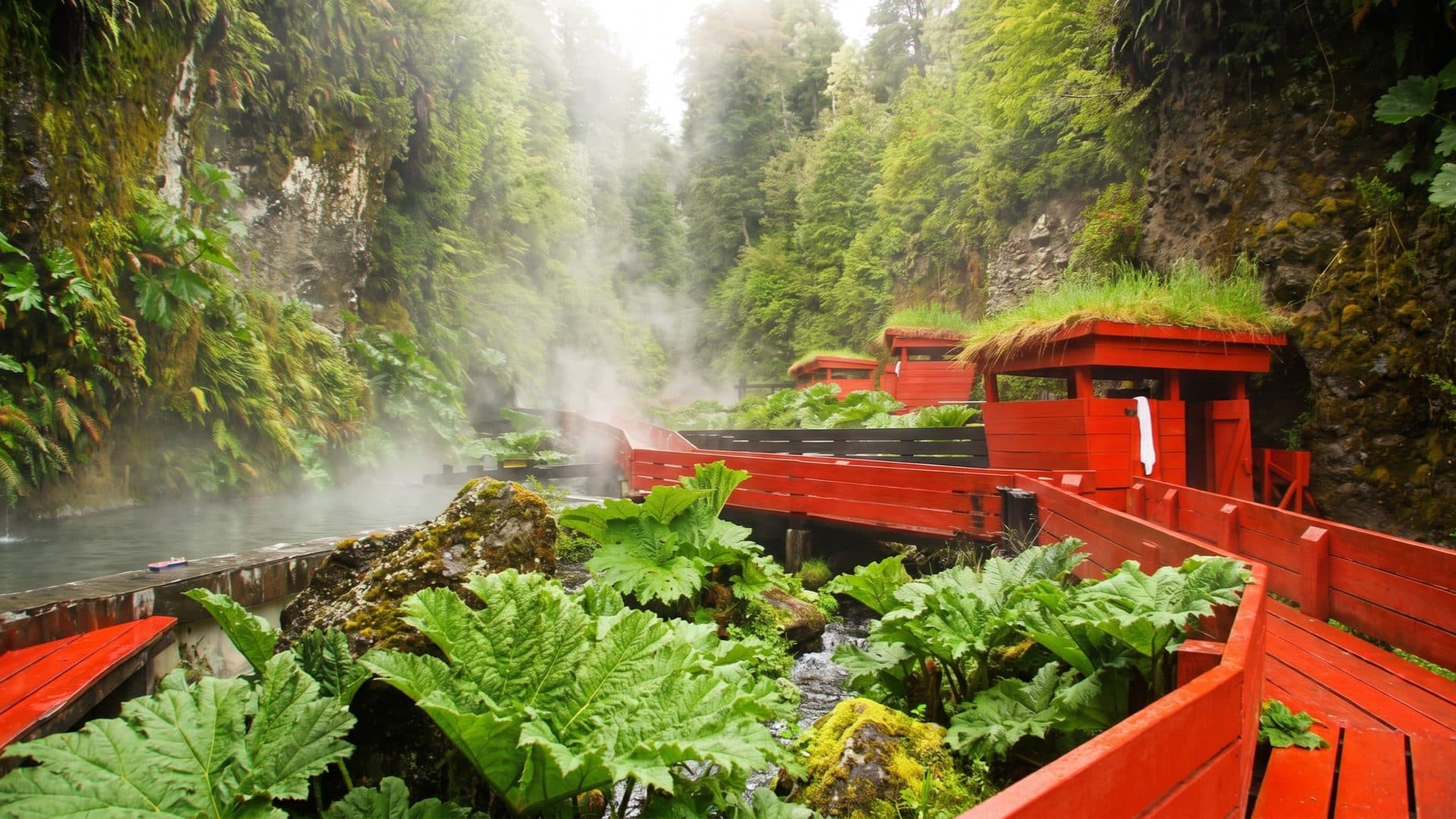 Red slatted walkways and turf-roofed changing huts among giant nalca leaves and moss-covered cliffs, steam drifting through the gorge.
