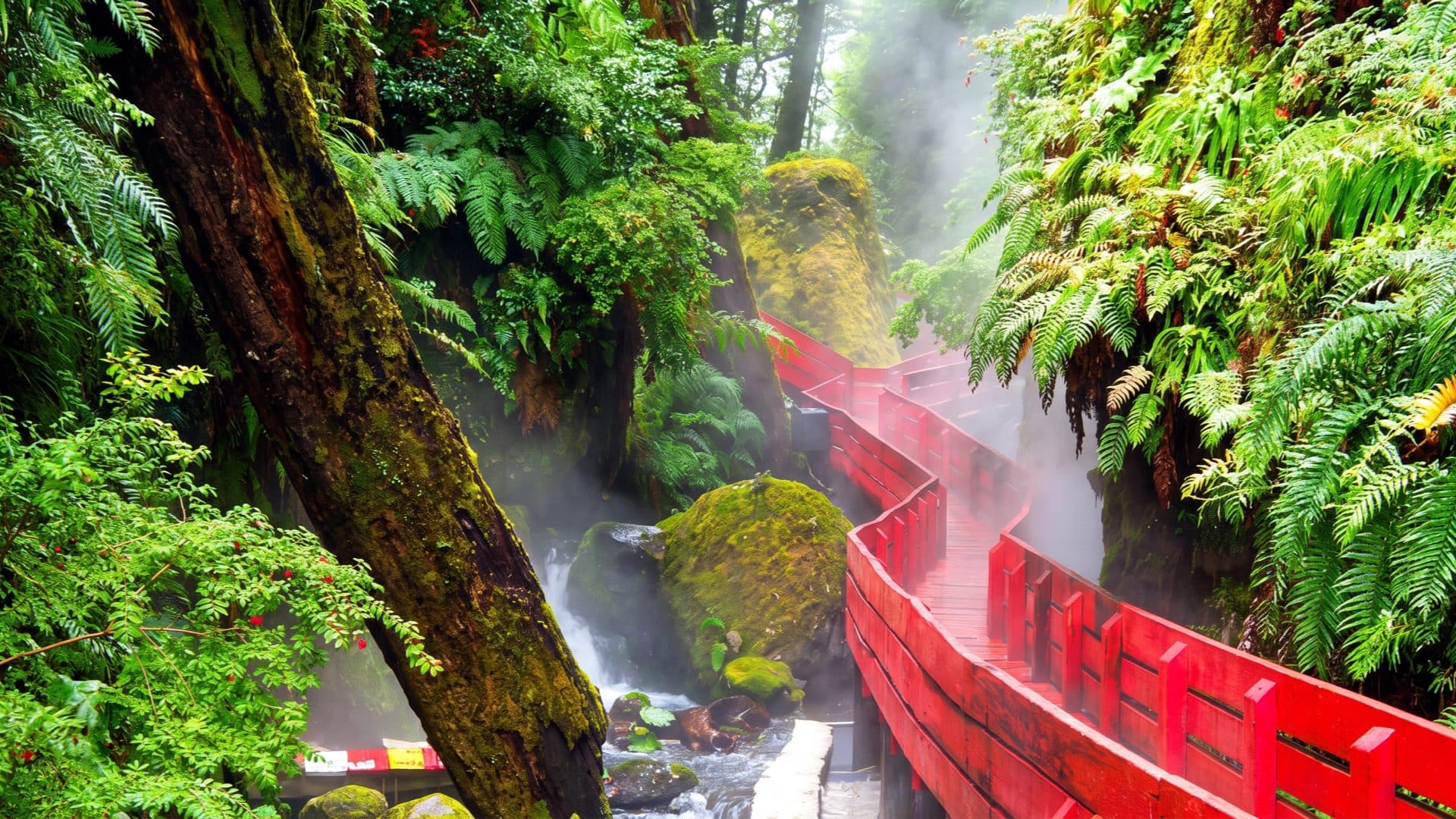 Bright red wooden boardwalk winding through a misty, fern-filled gorge beside a steaming stream at a hot-springs complex.