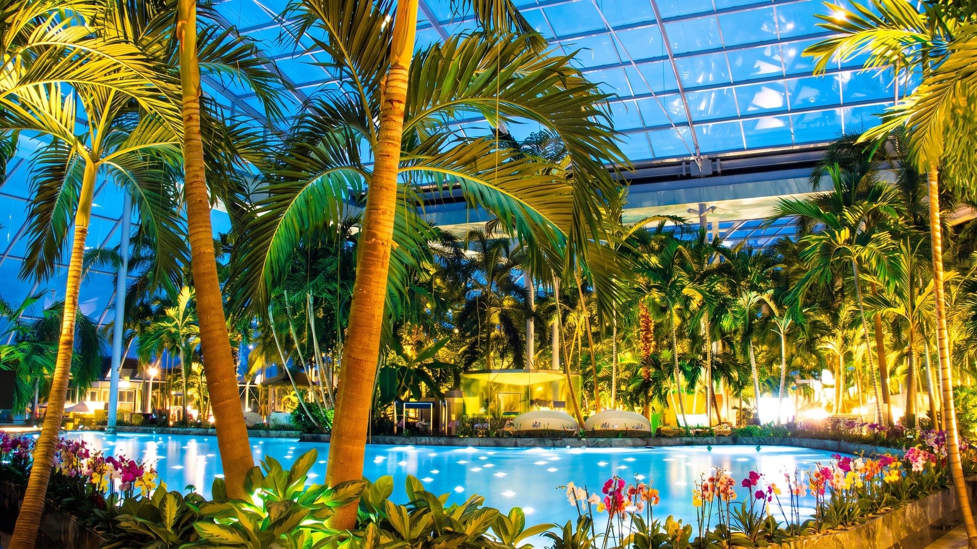 The palm hall of Therme Euskirchen in the evening, the lit water and orchid beds beneath the glass roof.
